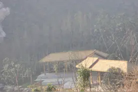 木结构案例｜防腐木进场准备施工图片