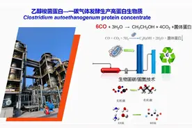 全球首次！我国将一氧化碳合成蛋白质，明明是好事为何被质疑？图片