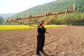 7旬大叔种玉米，“万能老婆”坐在地头当“领导”，咋回事图片