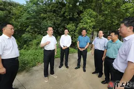 陈敏到梅江区调研：持续推进民生工程，提升城市品质，惠及人民群众图片