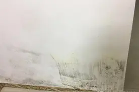 发现家里墙壁发霉怎么办，偷偷教你两招墙壁除霉刷新的好办法图片