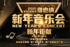 聆听来自维也纳的声音图片