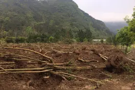 广西灌阳：镇政府口头毁约拒绝补偿，企业被掏空负债百万图片