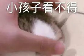 表情包｜小孩子看不得图片