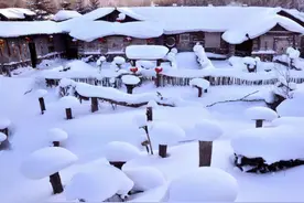 东北开启“冰箱”模式！摆地摊卖雪糕成“特色”，南方人：真羡慕图片