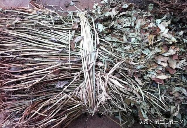 号称“秸秆之王”的花生秸秆，别当柴火烧了，每吨能卖一千多元！