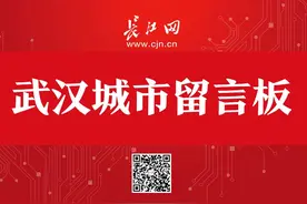 武汉市民大病保险可二次报销？如何申报？市医保局清楚回应图片