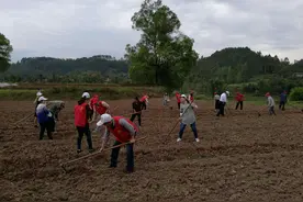 2021年土地改革新规，出嫁女土地将这样处理，两类土地将收回图片