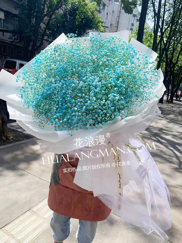 满天星寓意（满天星的5个含义）