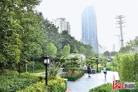 定州市今年建设16座“口袋公园”图片