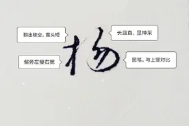 陈、李、杨、吴、王、汪、郑、赵、张、韩等姓氏钢笔字写法建议图片
