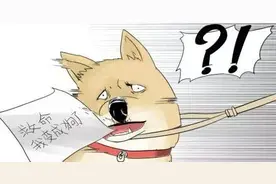 「解救漫荒」不幸和狗交换了身体，还被妹子抱来抱去图片