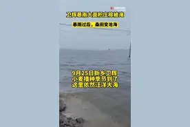 河南新乡再降暴雨，今年雨水达往年同期平均降水量的4-5倍图片