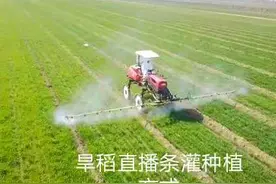 优质旱稻品牌入驻成都  英雄慈善公益基金“拥军助残”又添新军图片