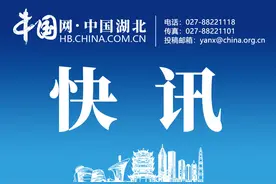 湖北籍作家“当年明月”，拟任上海市级机关副局级新职图片