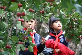 闻励快讯丨“春生夏长 收获金秋”——闻励2021山楂文化节精彩掠影图片