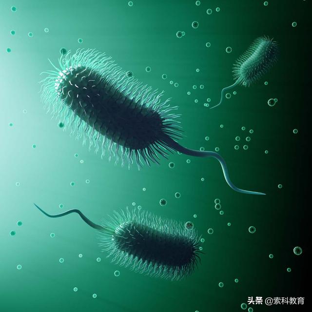 史上最全的高中生物知识点，一定要看