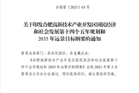 合肥高新技术产业开发区第十四个五年规划-教育篇图片