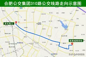 合肥新开310路545路T43路公交线 服务新站高新区居民出行图片