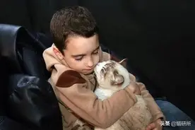 玄学还是真相，养猫真能让人身心更健康？图片