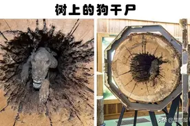 奇怪的发现：这么多年来，被人类找到的6大奇怪的事物图片