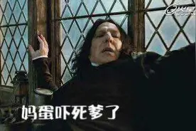 哈迷们的福利来喽！哈利·波特表情包（4）图片