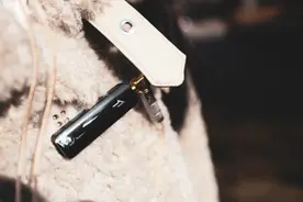 手机上使用这款无线小尾巴，LDAC加持的它用了就回不去图片