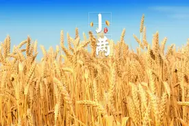 「诗词鉴赏」人生恰好小满时，遇见最美的小满诗词图片