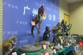 男子发帖售卖印度星龟，两易交易地点仍被抓获图片