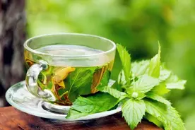 暑气浓，薄荷香图片