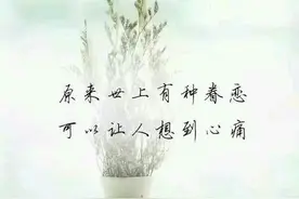 遇见你，毫无征兆的爱上你；依恋你，每天不知不觉地想念你图片