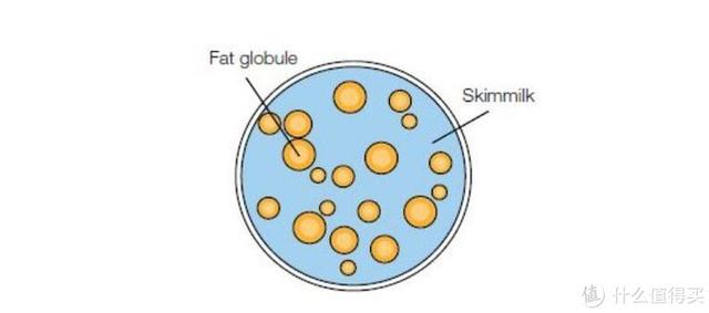 法国塑身体乳哪个品牌好