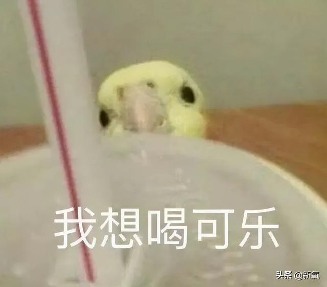 为什么泫雅的身材从来没有崩过？