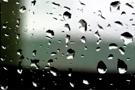 随笔：雨 · 日记图片