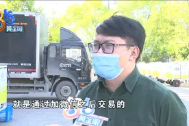 “熊猫体育”的椰子鞋，真真假假谜团多图片