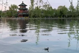 沿着什刹海畔饱览春色，寻访红色足迹，回首难忘的光荣岁月图片
