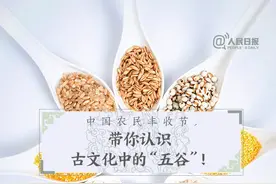 为什么说五谷最养人？吃对谷物，心、肝、脾、肺、肾一把罩图片