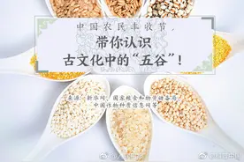 为什么说五谷最养人？吃对谷物，心、肝、脾、肺、肾一把罩图片