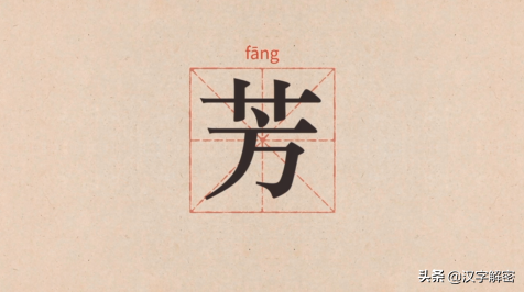 芳字怎么解释（为什么喜欢用芳形容女孩看芳字的本意）