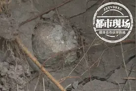 稀奇！这个村子的石头里竟然长出许多“石蛋”图片