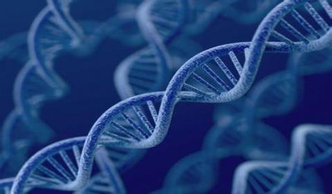 碳基生物是怎么回事？「高中生物讲解」1.2.4-1.2.5