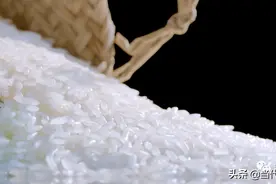 中科院院士、著名杂交水稻育种专家谢华安：浦城大米好看好吃又营养图片