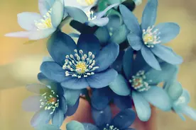 男女之间若是真爱，断联以后，会产生两种强烈的感觉图片