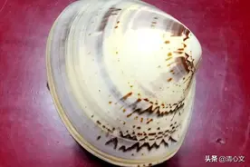 记忆也有密码图片