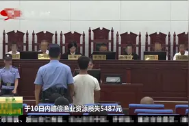 四川省首例非法可视锚鱼被判刑，这不是钓鱼，这是水下猎杀图片