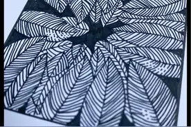 静下来，用线条缠绕夏天，禅绕画，一支黑笔就可以做到图片