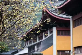 释迦牟尼一生说法的五个阶段图片