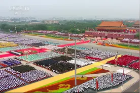 见证！深情表白图片