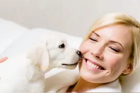 狗舔你手脚，是想告诉你这些事，你可能不清楚图片