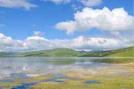 宣讲家案例：万亩黄沙变良田图片